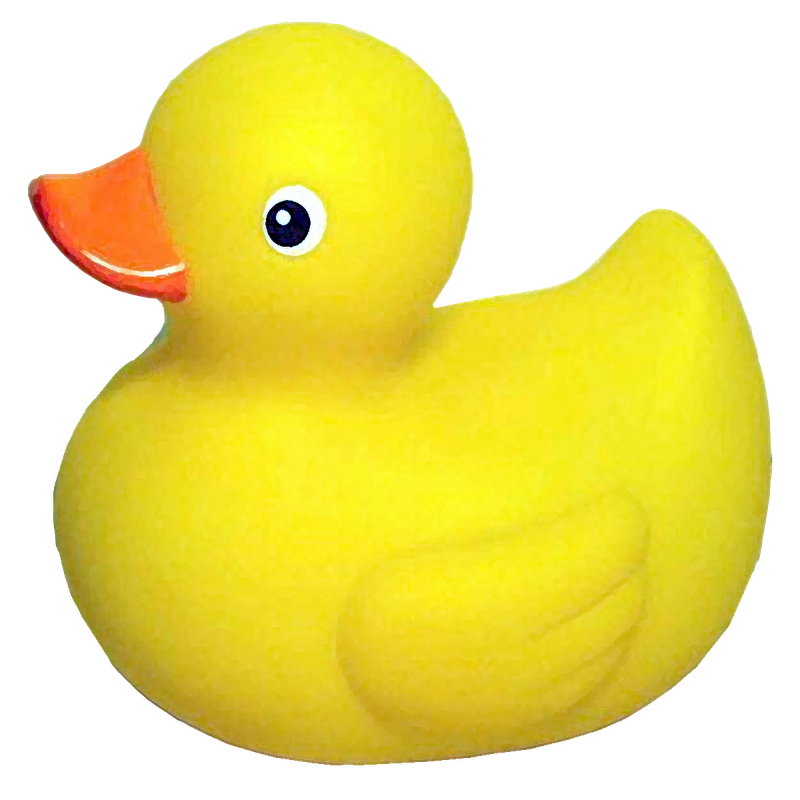 Rubber Ducky Examples