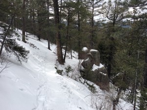 Trail conditions